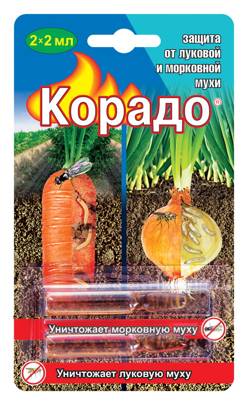 «Корадо» &mdash; защита от луковой и морковной мухи