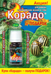 «Корадо» — эффективный препарат для борьбы с колорадским жуком и тлей