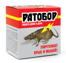 «Ратобор» — защита дома и дачи (набор)