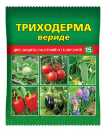 «Триходерма вериде» — биопрепарат для защиты растений от болезней