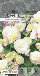 Цветы Бегония Фортун Вайт виз Роуз клубневая/Сем Алт/цп 5 шт.