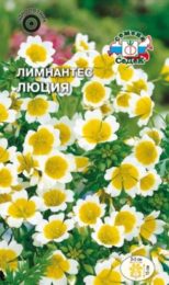 Цветы Лимантес Люция Дугласа/Седек/цп