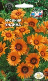 Цветы Урсиния Ундина /Седек/цп