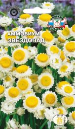 Цветы Аммобиум Звездопад /Седек/ цп