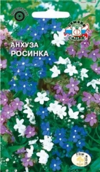 Цветы Анхуза Росинка /Седек/ цп