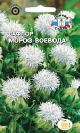 Цветы Сафлор Мороз-Воевода /Седек/ цп