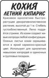 Цветы Кохия Летний Кипарис/Сем Алт/бп 0,3 гр.