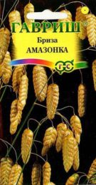 Цветы Бриза Амазонка (Трясунка) /Гавриш/цп 0,2 гр.
