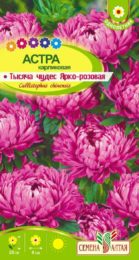 Астра Тысяча чудес ярко-розовая карликовая/Сем Алт/цп 0,2 гр.