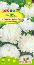 Астра Тысяча чудес белая карликовая/Сем Алт/цп 0,2 гр.