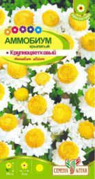 Цветы Аммобиум крылатый Крупноцветковый/Сем Алт/цп 0,2 гр.