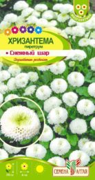 Цветы Хризантема Снежный шар пиретрум/Сем Алт/цп 0,01 гр. многолетник