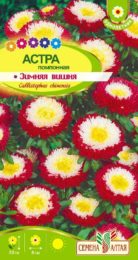 Астра Зимняя Вишня помпонная/Сем Алт/цп 0,2 гр.