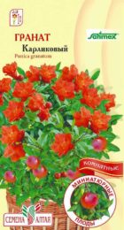 Цветы Гранат Карликовый/Сем Алт/цп 5 шт. НОВИНКА