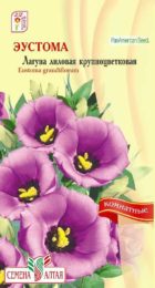 Цветы Эустома Лагуна Лиловая/Сем Алт/цп 5 шт.