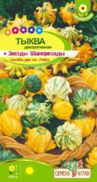 Цветы Тыква Звезды Шахерезады декоративная/Сем Алт/цп 0,5 гр. НОВИНКА