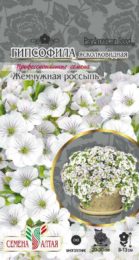 Цветы Гипсофила Жемчужная россыпь ясколковиднаяСем Алт/цп 10 шт. многолетник НОВИНКА