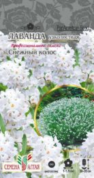Цветы Лаванда Снежный колос узколистная/Сем Алт/цп 5 шт. многолетник НОВИНКА
