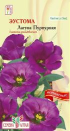 Цветы Эустома Лагуна Пурпурная/Сем Алт/цп 5 шт. НОВИНКА