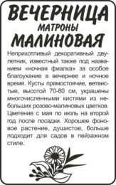 Цветы Вечерница Матроны малиновая/Сем Алт/бп 0,3 гр.