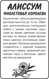 Цветы Алиссум Фиолетовая Королева/Сем Алт/бп 0,1 гр.