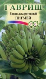 Цветы Банан декоративный Пигмей/Гавриш/цп 3шт. (комн.цв.)