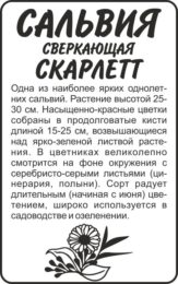 Цветы Сальвия Скарлетт сверкающая/Сем Алт/бп 0,1 гр.