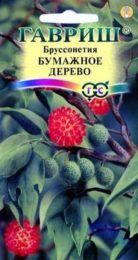 Цветы Бруссонетия Бумажное дерево/Гавриш/цп