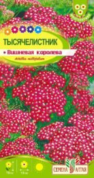 Цветы Тысячелистник Вишневая Королева/Сем Алт/цп 0,1 гр. многолетник