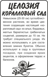 Цветы Целозия Коралловый Сад гребенчатая/Сем Алт/бп 0,2гр.