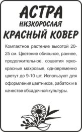 Астра Красный Ковер низкорослая/Сем Алт/бп 0,2 гр.