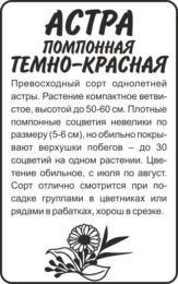 Астра Помпонная Темно-красная/Сем Алт/бп 0,2 гр.