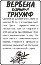 Цветы Вербена Триумф гибридная/Сем Алт/бп 0,1 гр.