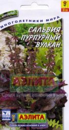 Цветы Сальвия Пурпурный Вулкан/Аэлита/цп