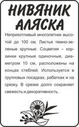 Цветы Нивяник Аляска/Сем Алт/бп 0,1 гр.
