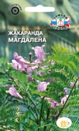Цветы Жакаранда Мимозолистная/Седек/цп