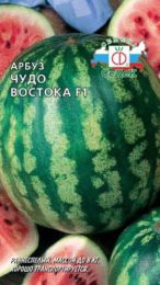 Арбуз Чудо Востока/Седек/цп