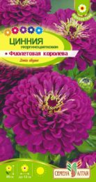 Цветы Цинния Фиолетовая Королева георгиноцв./Сем Алт/цп 0,3 гр.