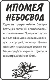 Цветы Ипомея Небосвод/Сем Алт/бп 0,5 гр.