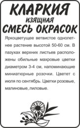Цветы Кларкия Смесь окрасок изящная /Сем Алт/бп 0,3 гр.