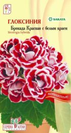 Цветы Глоксиния Брокада Красная с белым краем/СемАлт/цп 8 шт.