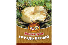 Грибы Груздь белый (60 мл)