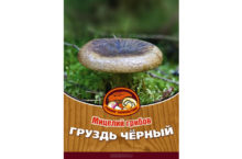 Грибы Груздь черный (60 мл)