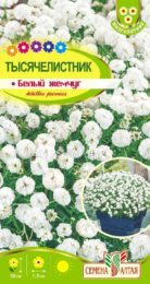 Цветы Тысячелистник Белый жемчуг/Сем Алт/цп 0,1 гр.