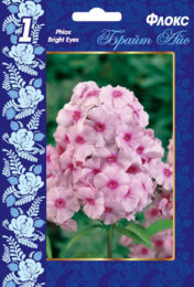 Флокс «Брайт Айс»