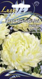 Астра «Бьютифул Дей» желтая