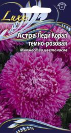 Астра «Леди Корал» темно-розовая