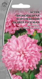 Астра пионовидная «Королевский размер» розовая