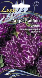 Астра «Риббон» синяя