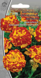 Бархатцы отклоненные «Болеро»